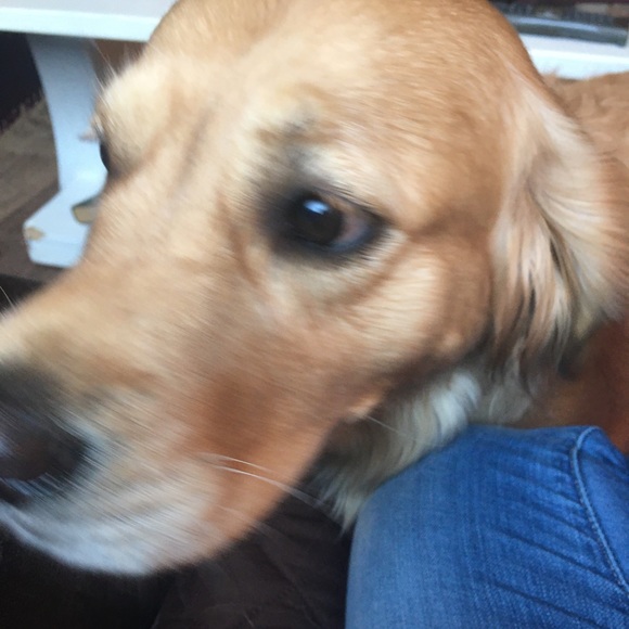 Howdy, Im Lisa! - Picture 3 of 3